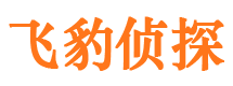 宝山区找人公司